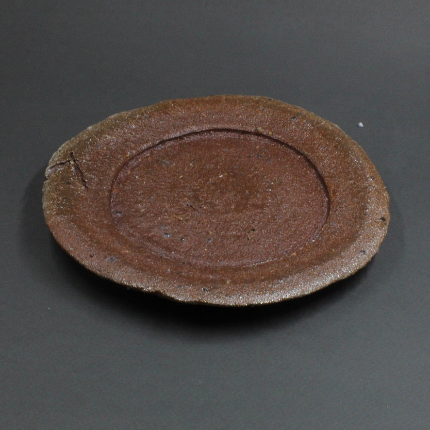 Plate 10