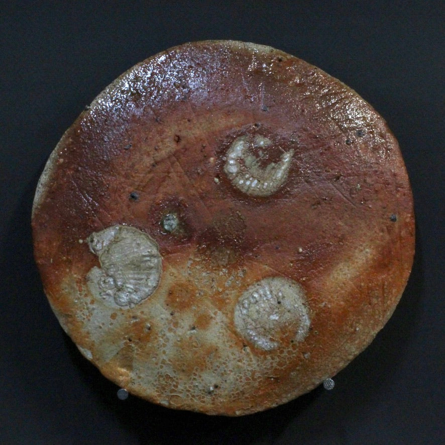 Plate 9