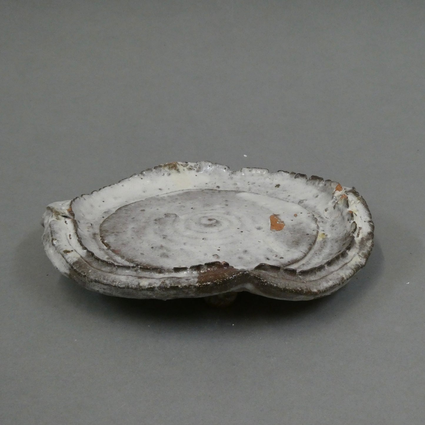 Plate 7