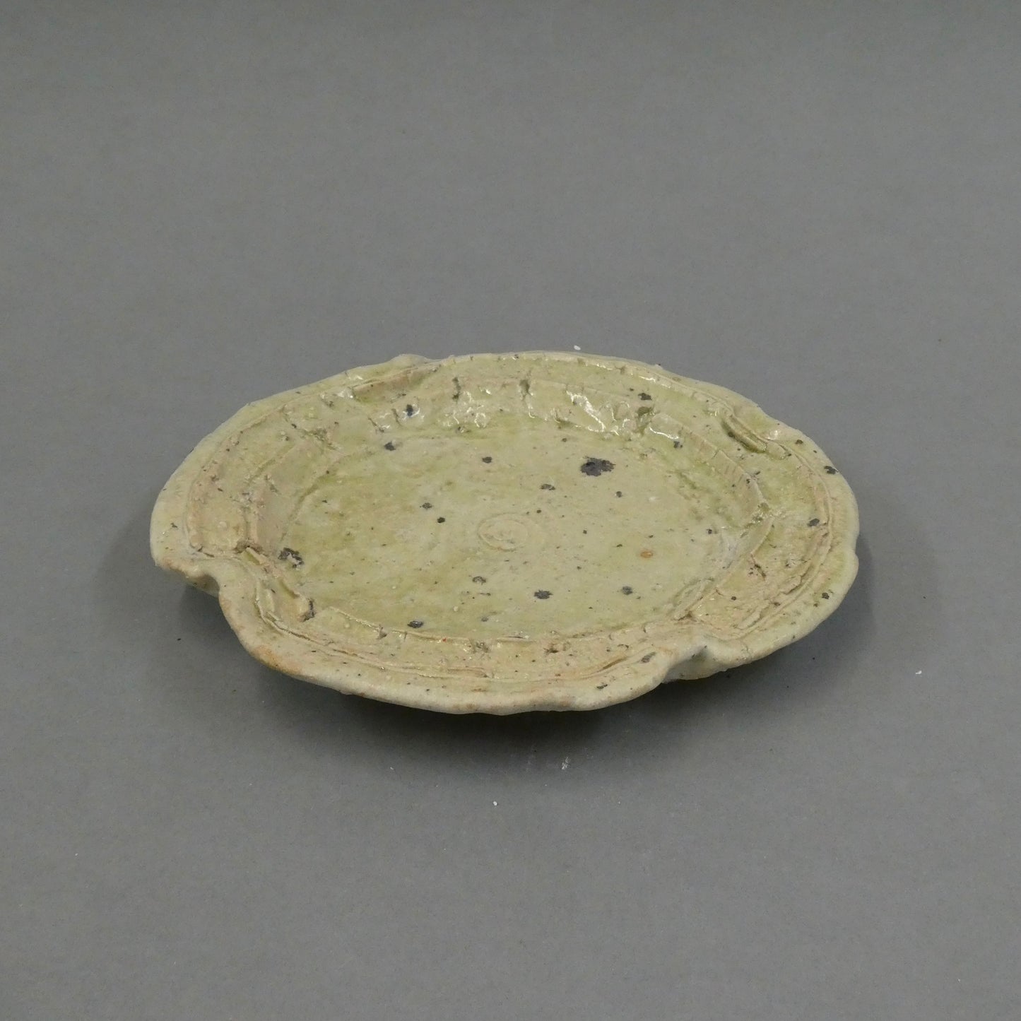 Plate 4