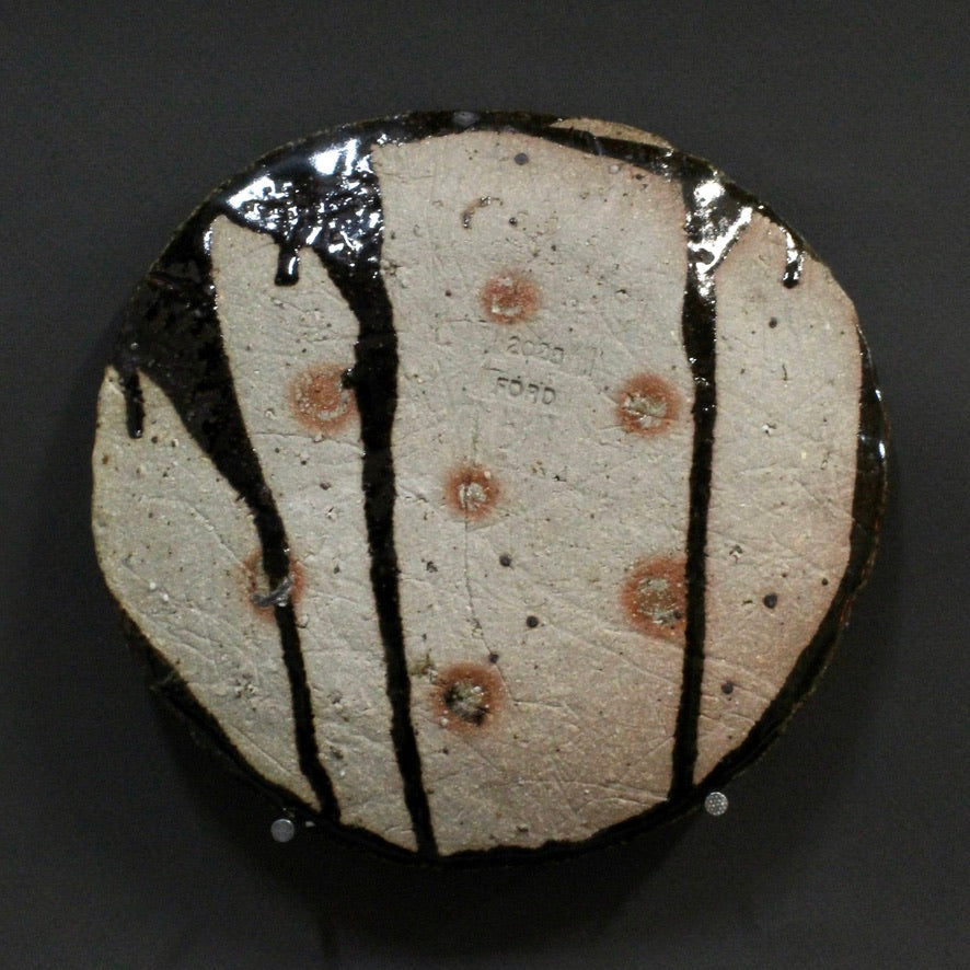 Plate 6