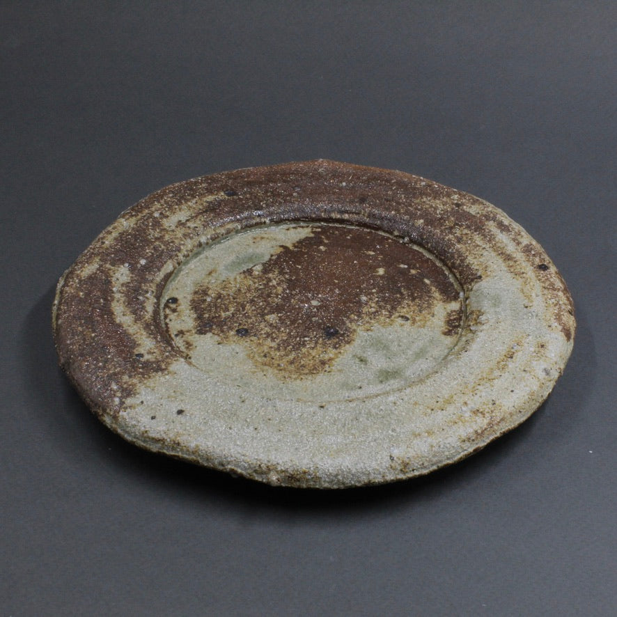 Plate 4