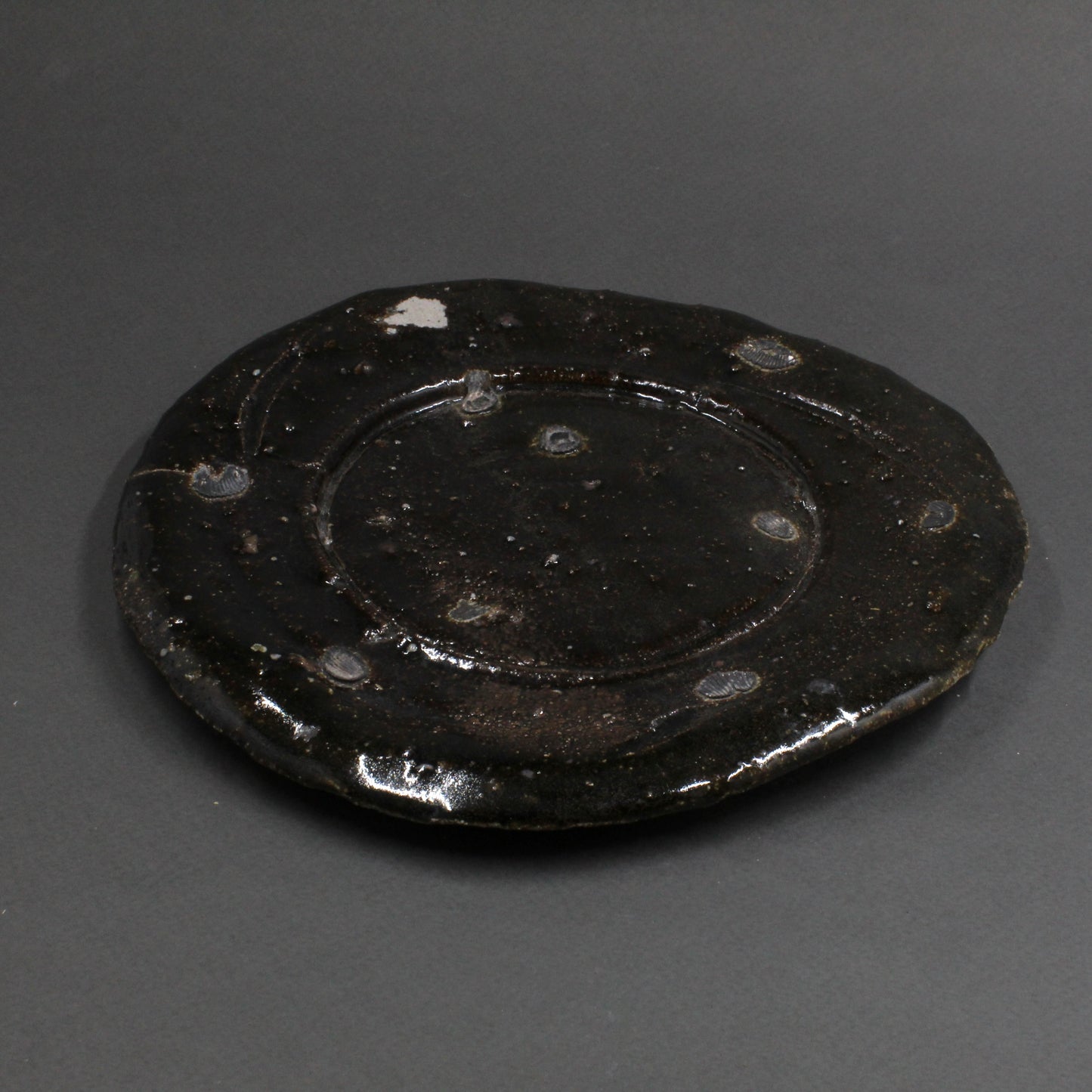 Plate 6