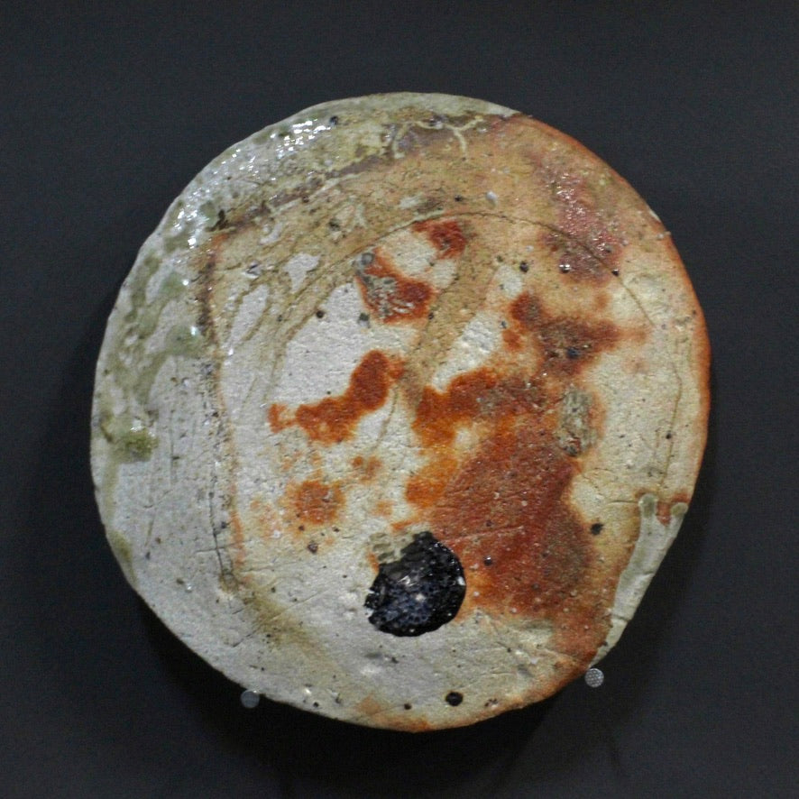 Plate 1