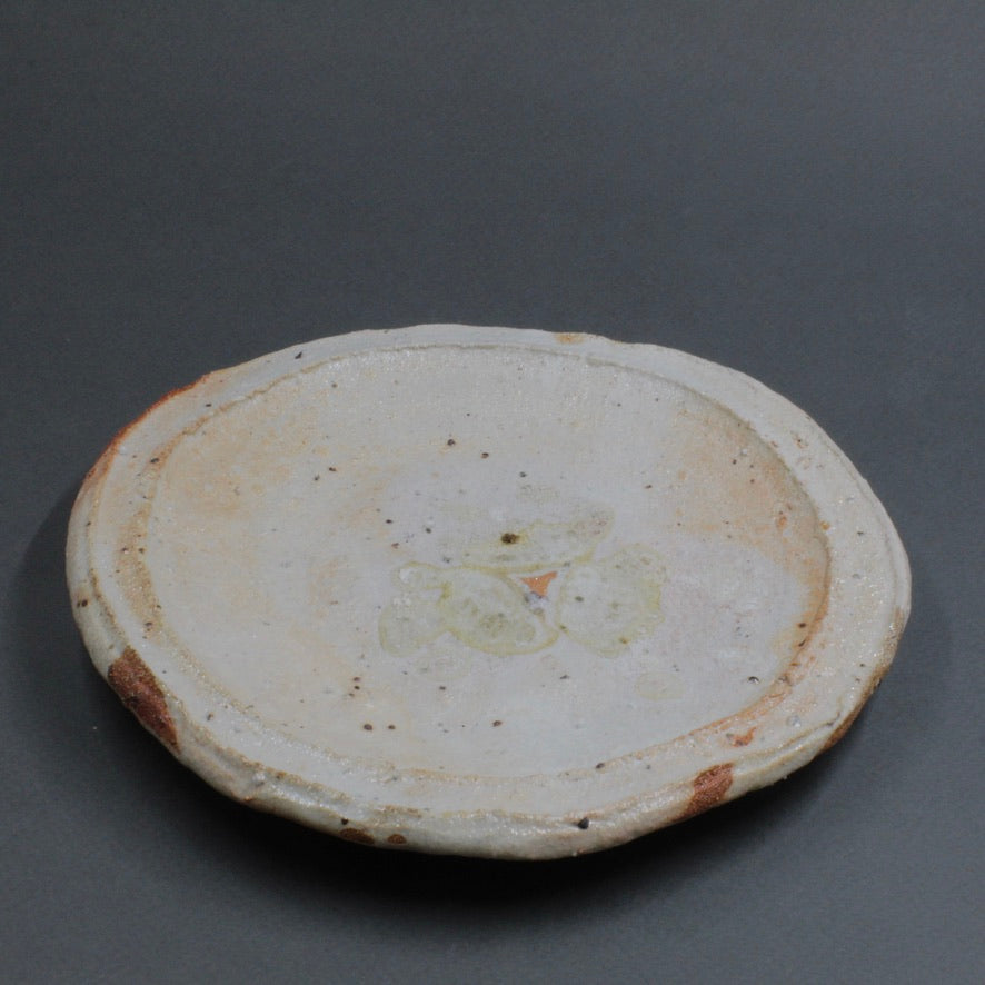 Plate 12