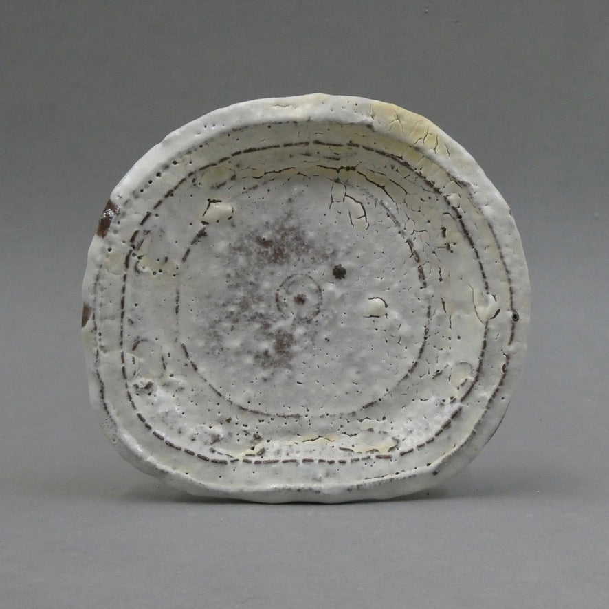 Plate 8