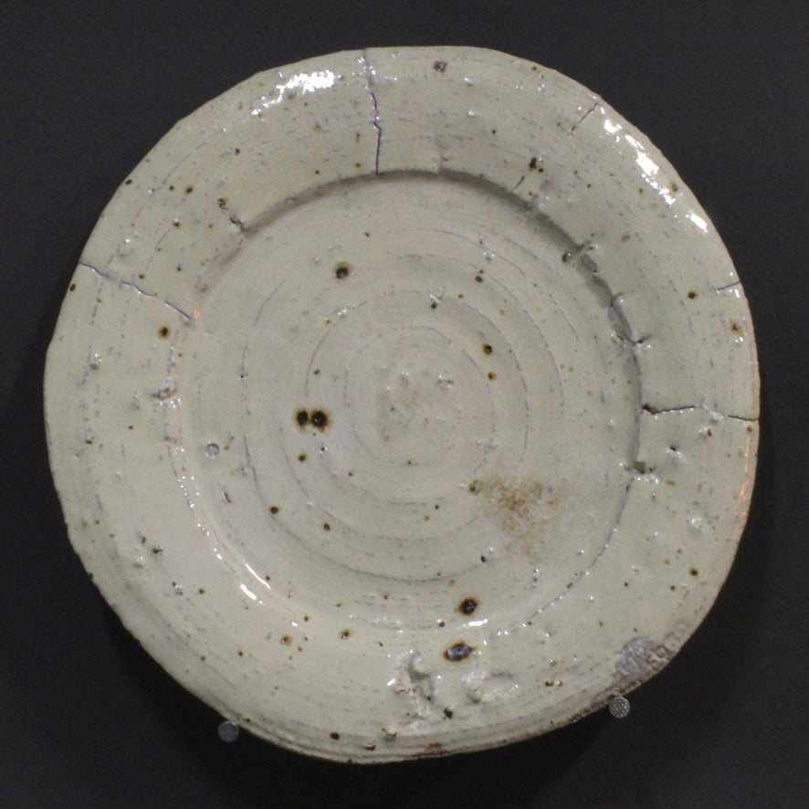 Plate 7
