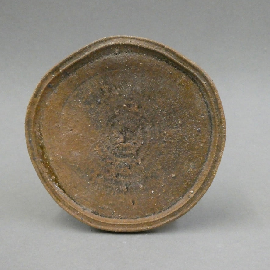 Plate 10