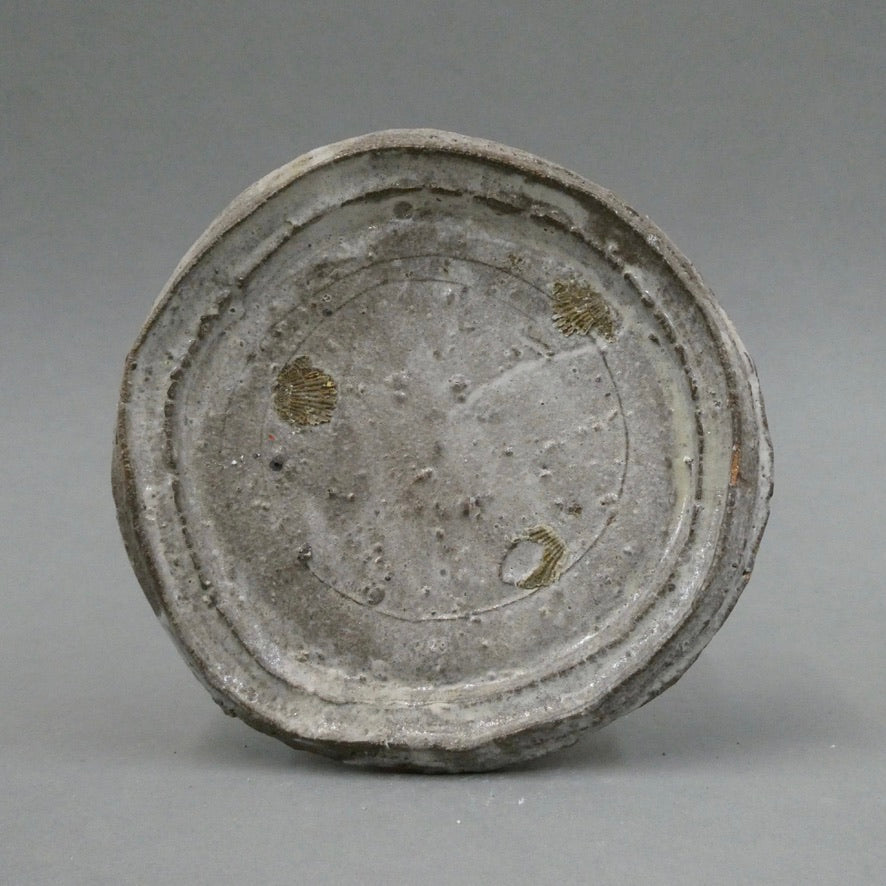 Plate 5