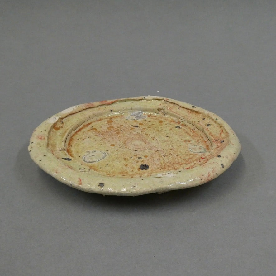 Plate 11