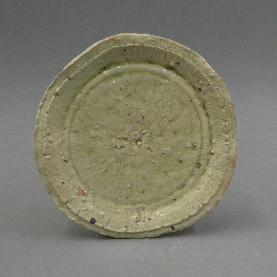Plate 12