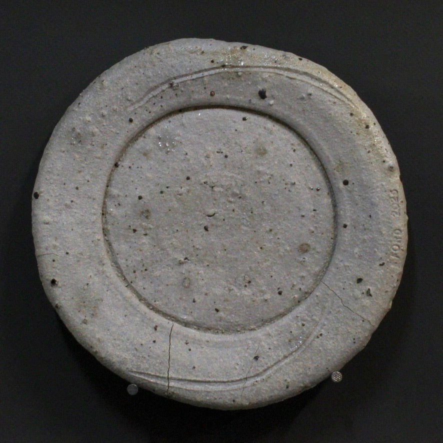 Plate 8