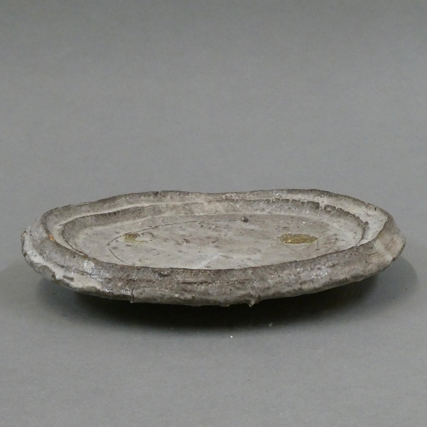 Plate 5