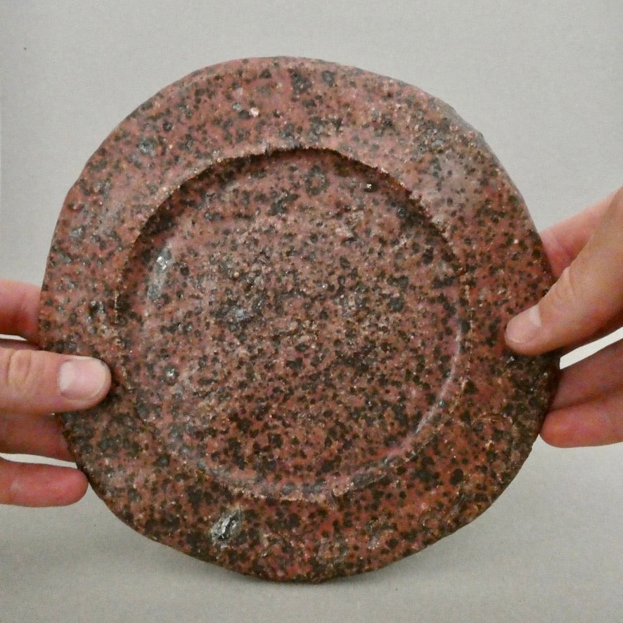 Beach plate 1