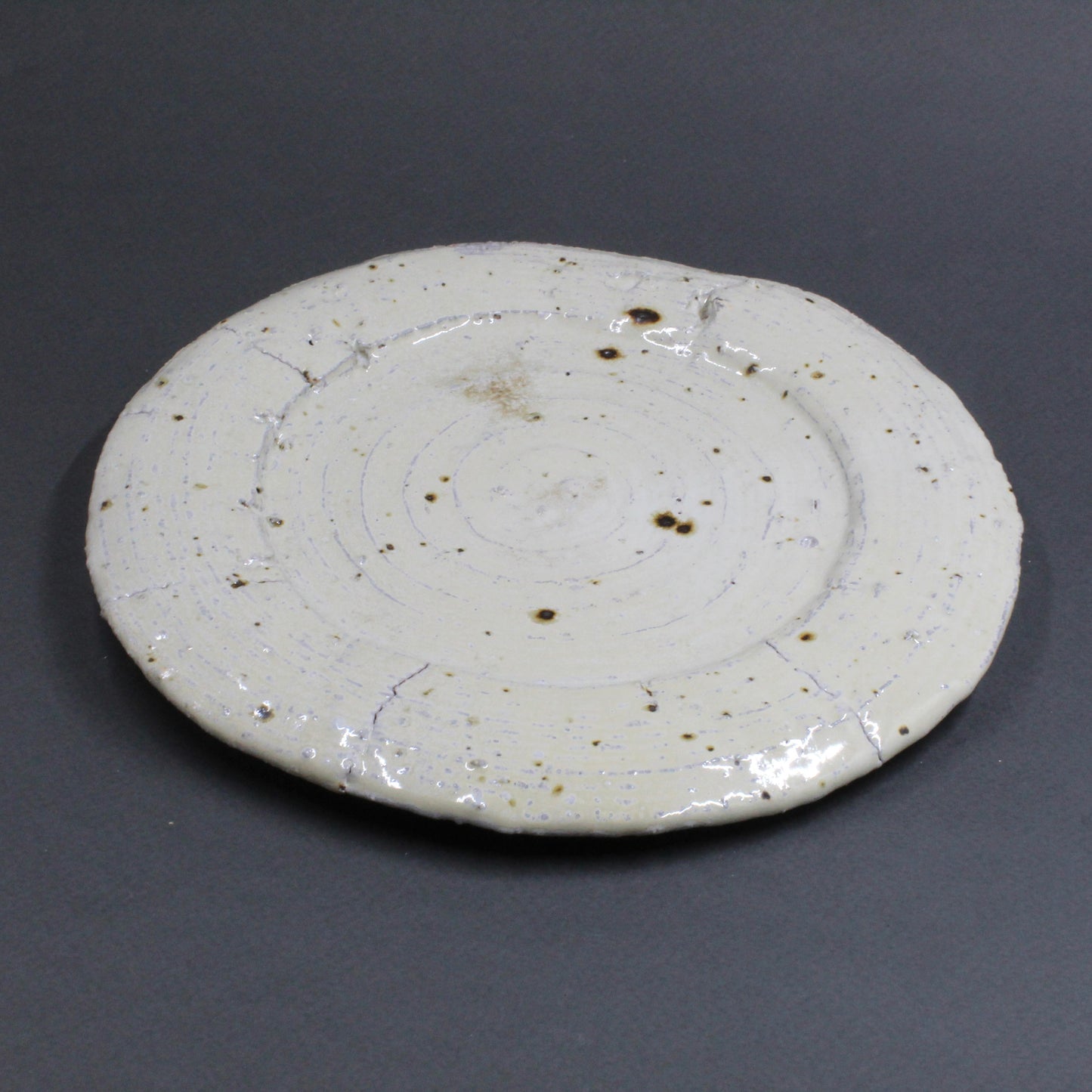 Plate 7