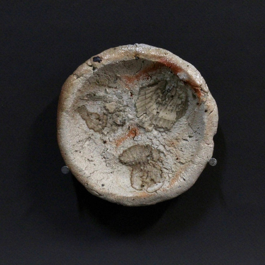 Small Dish 2