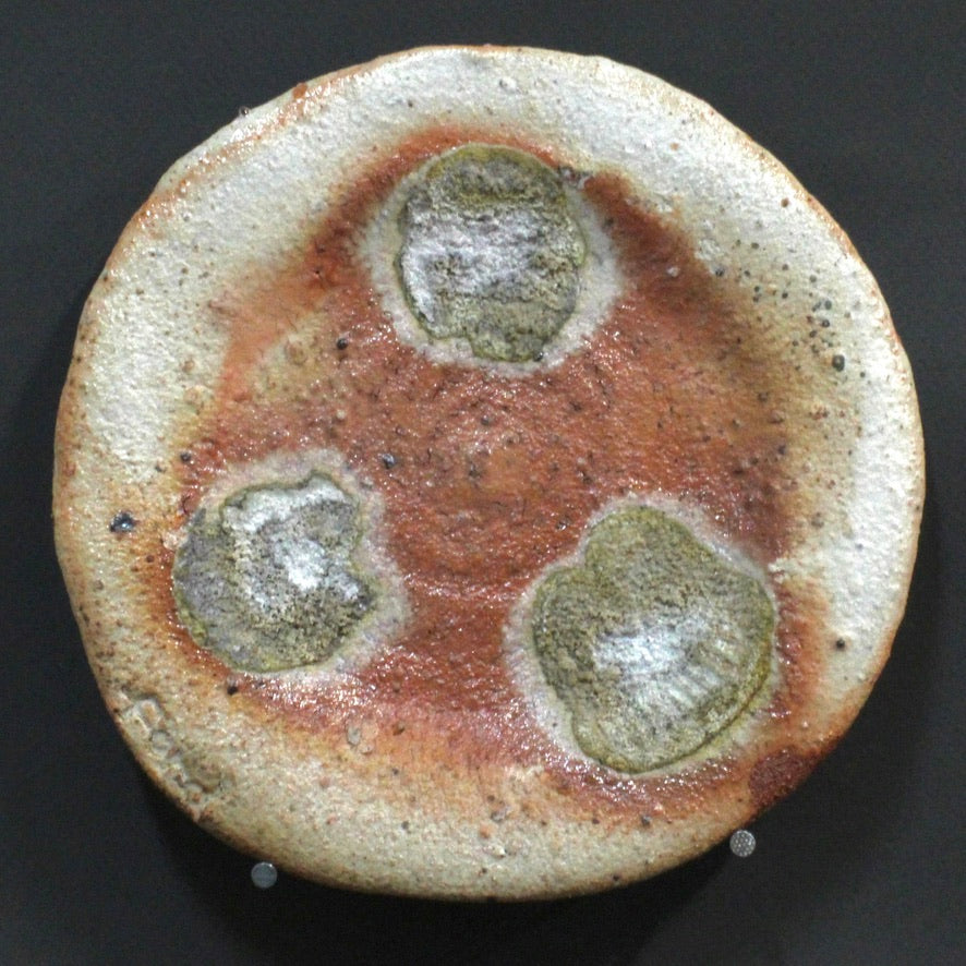 Plate 5