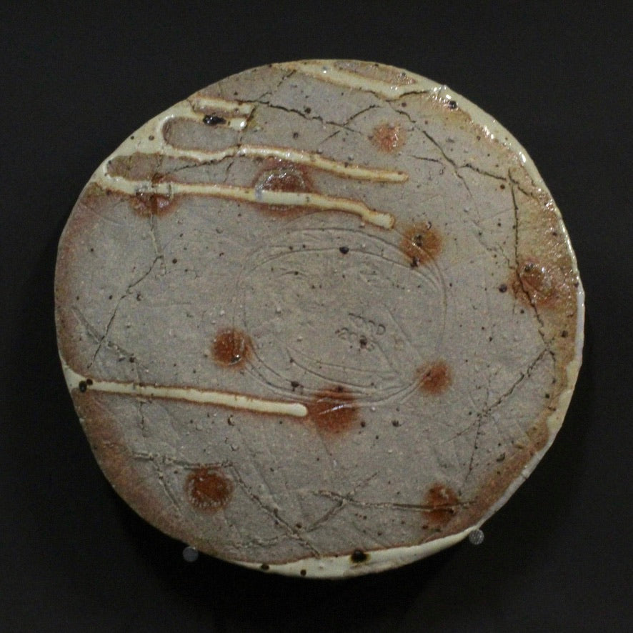 Plate 7