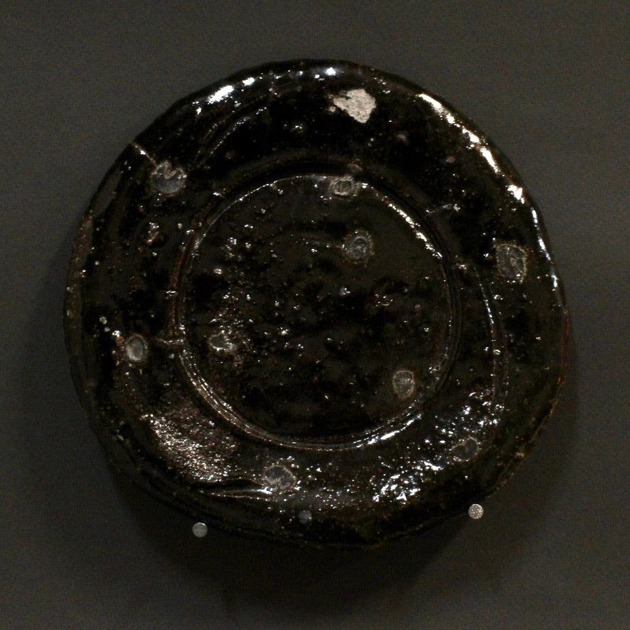 Plate 6
