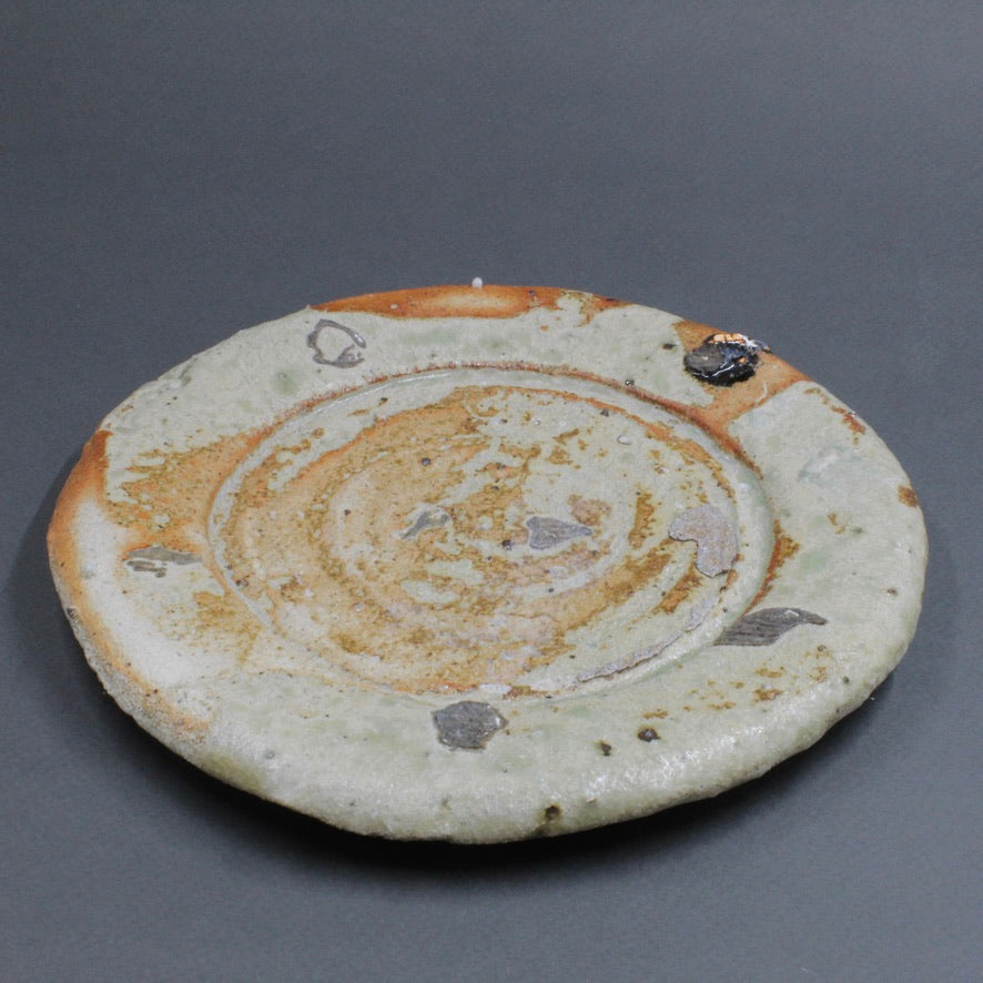Plate 1