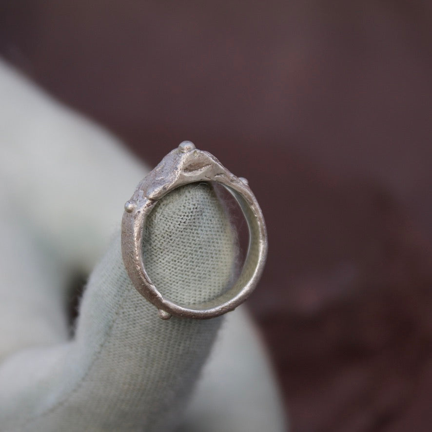 David's Dad's ring