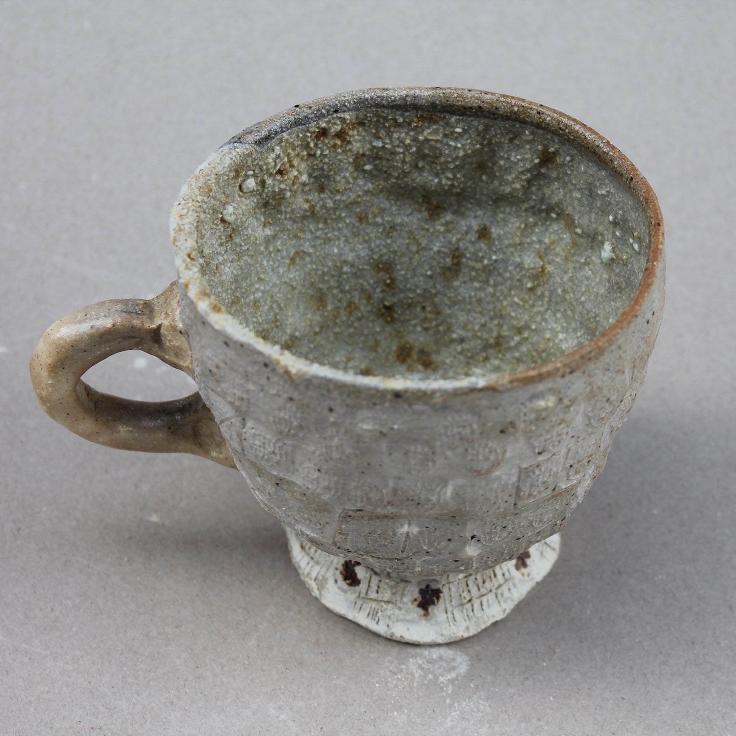 Tuatara Kingdom Mug