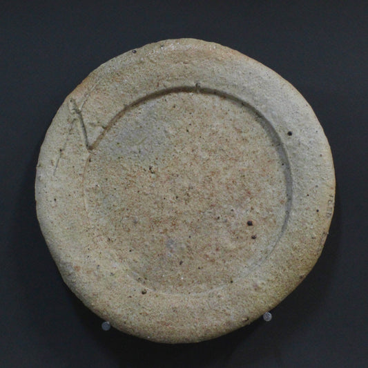 Plate 11