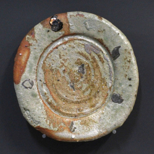 Plate 1