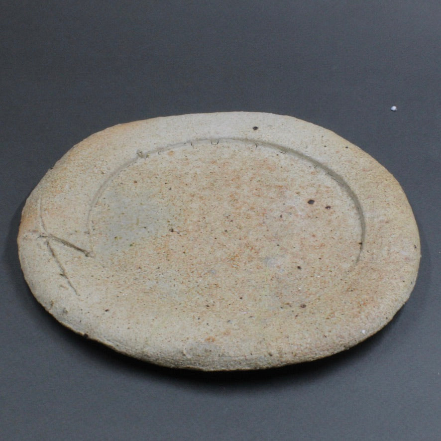 Plate 11