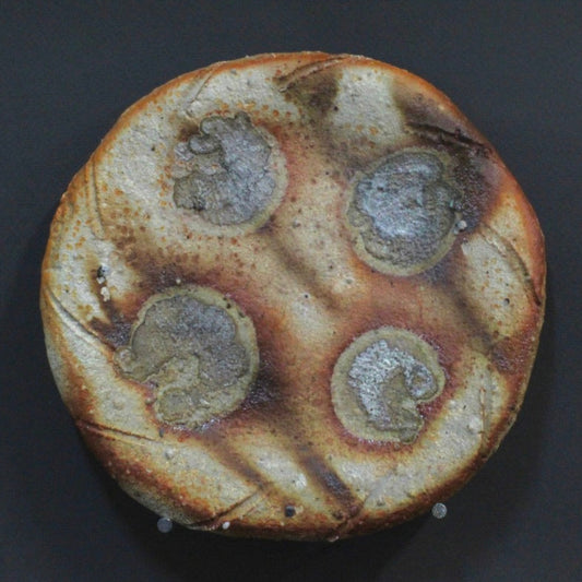 Plate 9