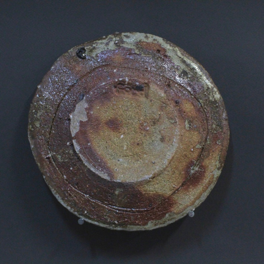 Plate 4