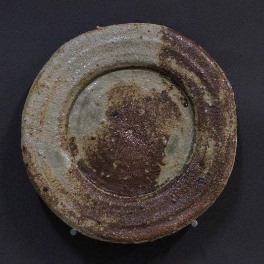 Plate 4