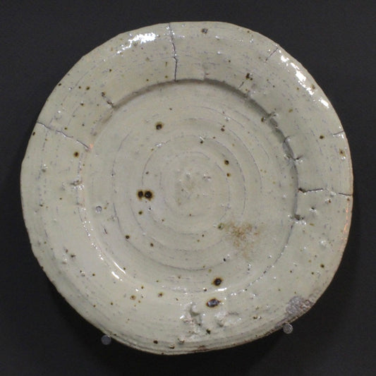 Plate 7