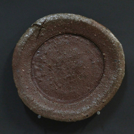 Plate 10