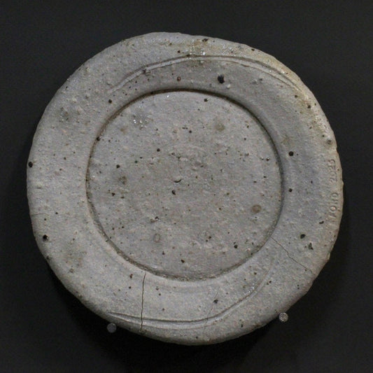 Plate 8
