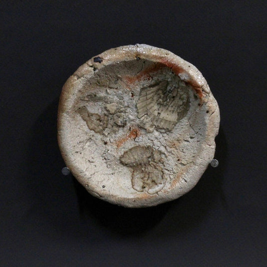 Small Dish  2