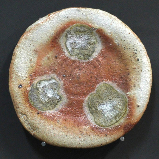 Plate 5