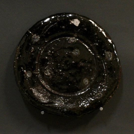 Plate 6