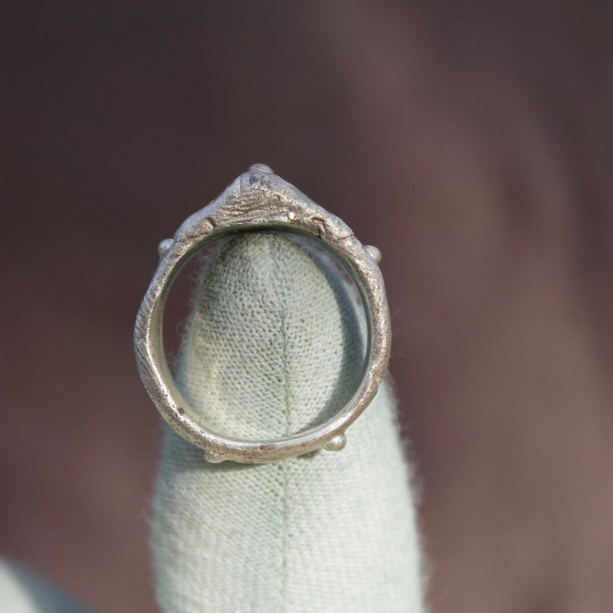 David's Dad's ring