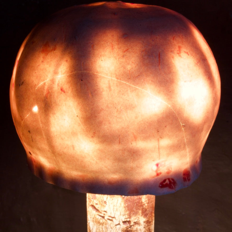 Lamp 1